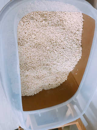 [펫토리아] BEST 고양이두부모래 6L 한삽뚝딱 — 2.5점을 준 리뷰어가 2019년 2월 올린 사용 사진