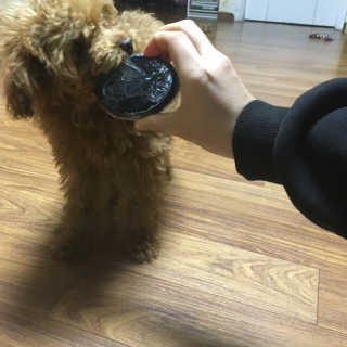 김예진님이 올린 리뷰 사진 1