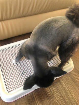 로레알님이 올린 리뷰 사진 2