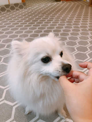 제인님이 올린 리뷰 사진 3