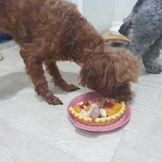 보리님이 올린 리뷰 사진 3