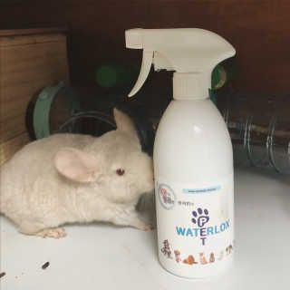 aya님이 올린 리뷰 사진 2