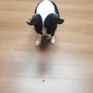 연니비님이 올린 리뷰 사진 3