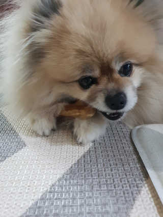 레고사줘님이 올린 리뷰 사진 3