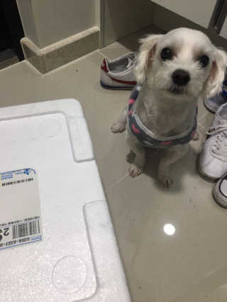 홍지윤님이 올린 리뷰 사진 4