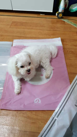 권신혜님이 올린 리뷰 사진 3
