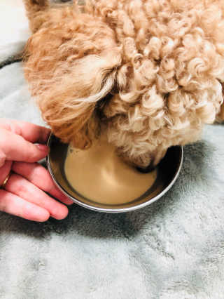 공블리님이 올린 리뷰 사진 2