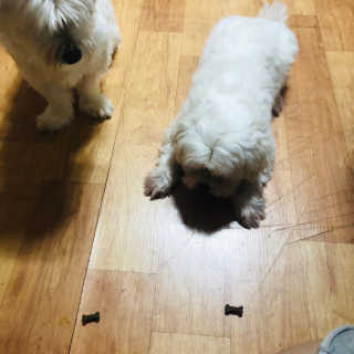 주먹이누나님이 올린 리뷰 사진 4