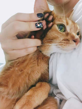 ymtmsz님이 올린 리뷰 사진 4