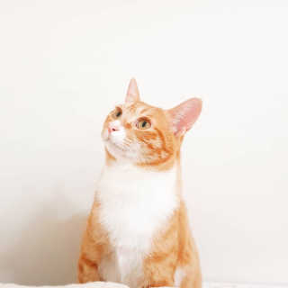 안뇽요님이 올린 리뷰 사진 3