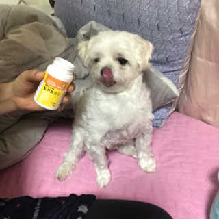 🦄행운의여신유니콩🦄님이 올린 리뷰 사진 2