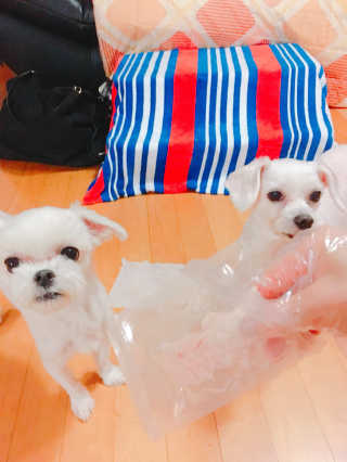 쮸동비님이 올린 리뷰 사진 3