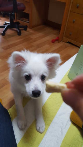 미예님이 올린 리뷰 사진 3