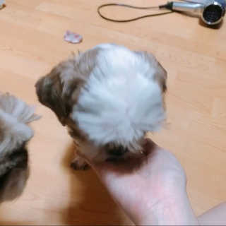 EunsolLee님이 올린 리뷰 사진 1