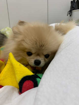 다옹쓰님이 올린 리뷰 사진 3