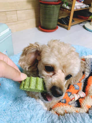 랑이님이 올린 리뷰 사진 1