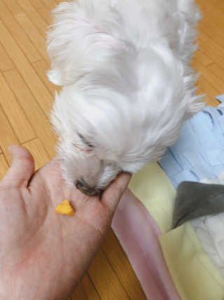 ejejejluv님이 올린 리뷰 사진 3