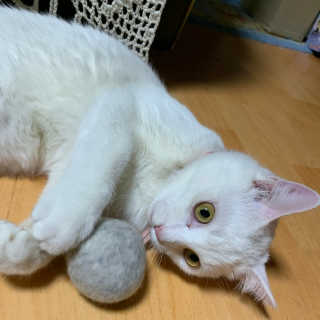 쮸야님이 올린 리뷰 사진 3