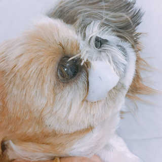 진주성님이 올린 리뷰 사진 3