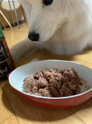 펫토리아 한캔뚝딱 best 강아지캔,고양이주식캔 — 5점을 준 리뷰어가 2019년 6월 올린 사용 사진