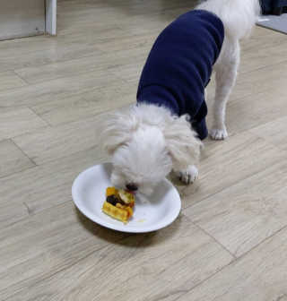 Ranny님이 올린 리뷰 사진 2