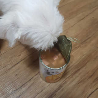 뽀오오옹님이 올린 리뷰 사진 2