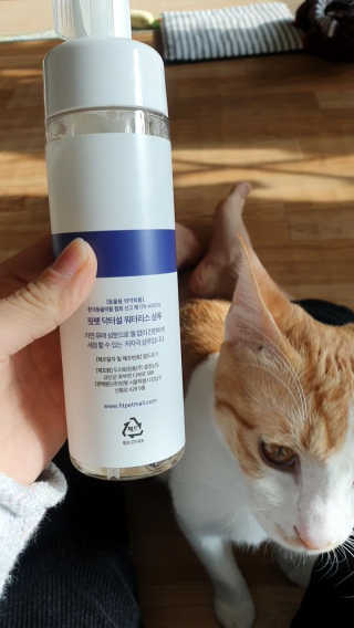 투마하뚜님이 올린 리뷰 사진 2