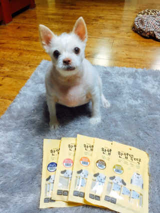 [펫토리아] 강아지,고양이겸용 짜먹는 한입뚝딱 — 5점을 준 리뷰어가 2019년 2월 올린 사용 사진