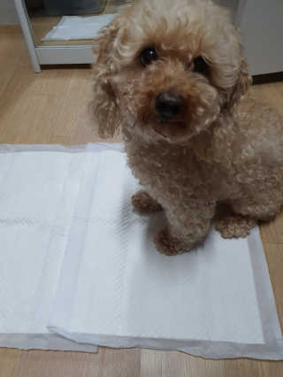 Sun님이 올린 리뷰 사진 1