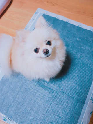 ㅡ님이 올린 리뷰 사진 1