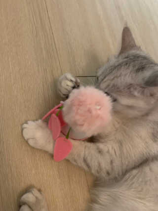 홍이님이 올린 리뷰 사진 3