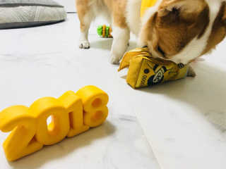 이소현님이 올린 리뷰 사진 4