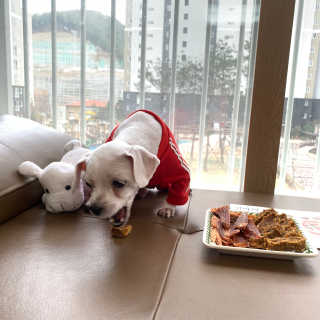 마이민님이 올린 리뷰 사진 3