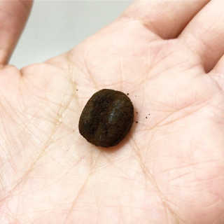 chuhee님이 올린 리뷰 사진 2