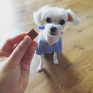 leinis님이 올린 리뷰 사진 1