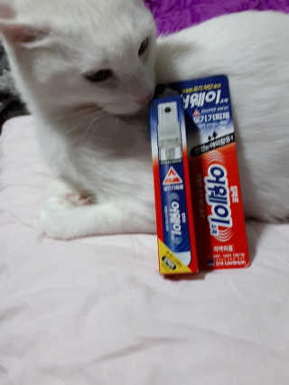 초록사나님이 올린 리뷰 사진 1