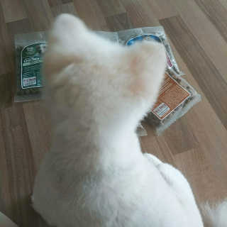 현이님이 올린 리뷰 사진 2