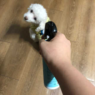 은지님이 올린 리뷰 사진 2