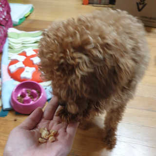 anntiiii님이 올린 리뷰 사진 4