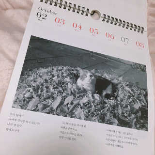 조뼐님이 올린 리뷰 사진 1