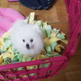 김한솔님이 올린 리뷰 사진 4