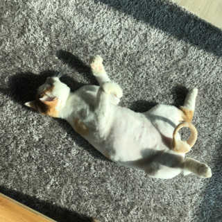 미미연탄님이 올린 리뷰 사진 2