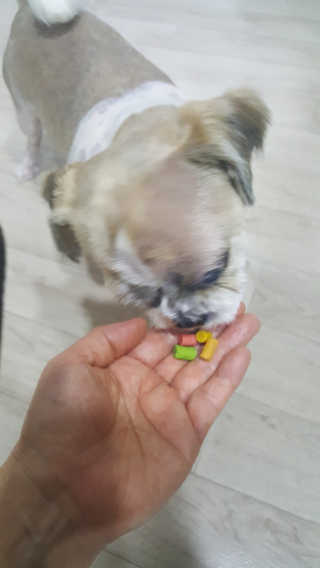보리엄마님이 올린 리뷰 사진 3