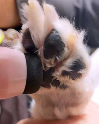 sodia35님이 올린 리뷰 사진 3
