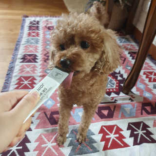 유나님이 올린 리뷰 사진 1