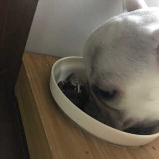 노는해님이 올린 리뷰 사진 2