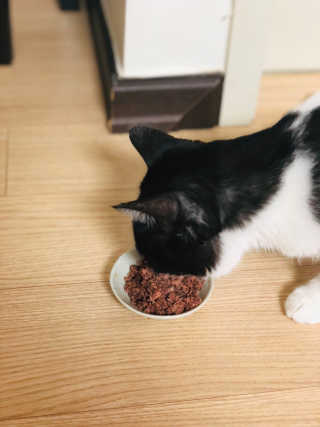 째콩이네님이 올린 리뷰 사진 4