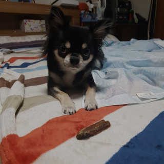GyujinKim님이 올린 리뷰 사진 4