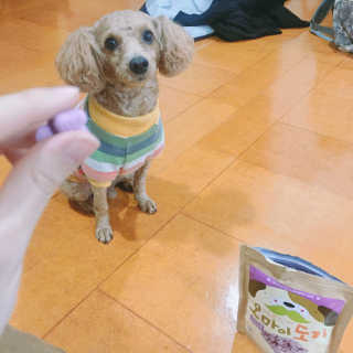 swany님이 올린 리뷰 사진 2