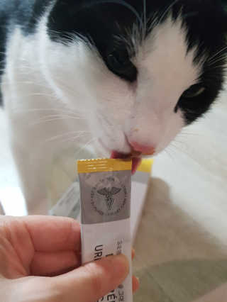 홍시님이 올린 리뷰 사진 3